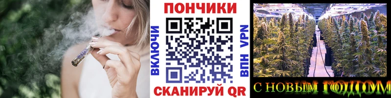 Галлюциногенные грибы Кострома