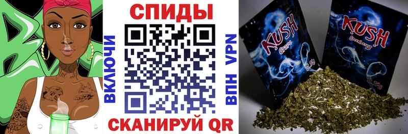 где продают   Кострома  Бутират буратино 