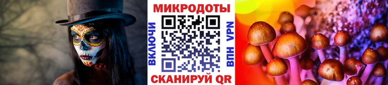 Псилоцибиновые грибы MAGIC MUSHROOMS  Кострома 